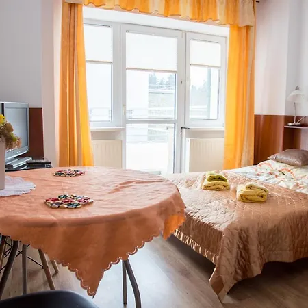 Appartement Dwuosobowy203, 310,410, Krynica-Zdrój